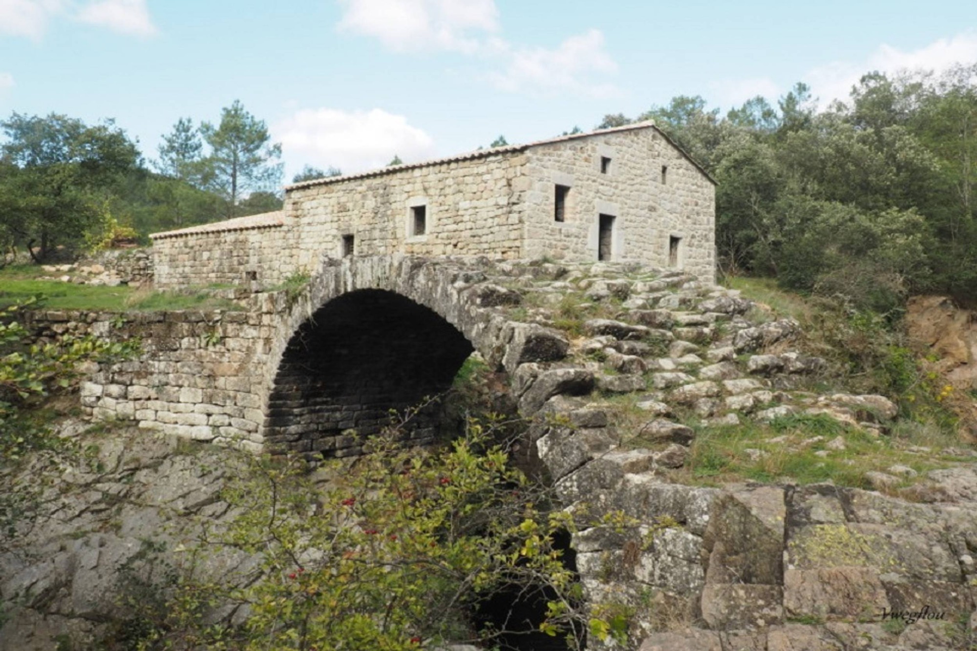 Moulin Dupuy - Saint-André-Lachamp