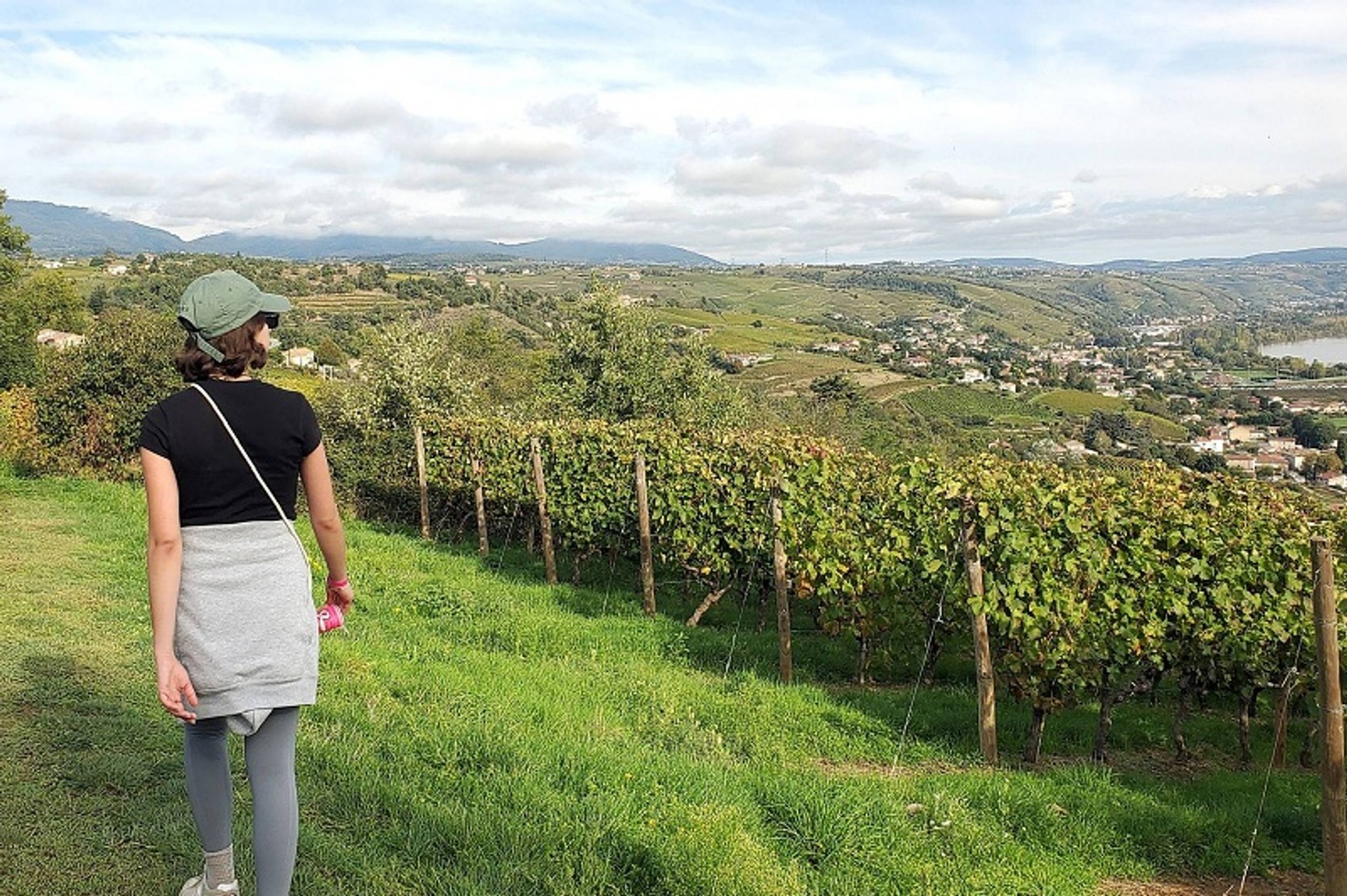 Vue sur la Vallée du Rhône depuis les hauteurs de Limony