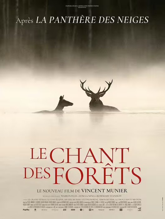 Ciné - Le chant des forêts_Lalouvesc