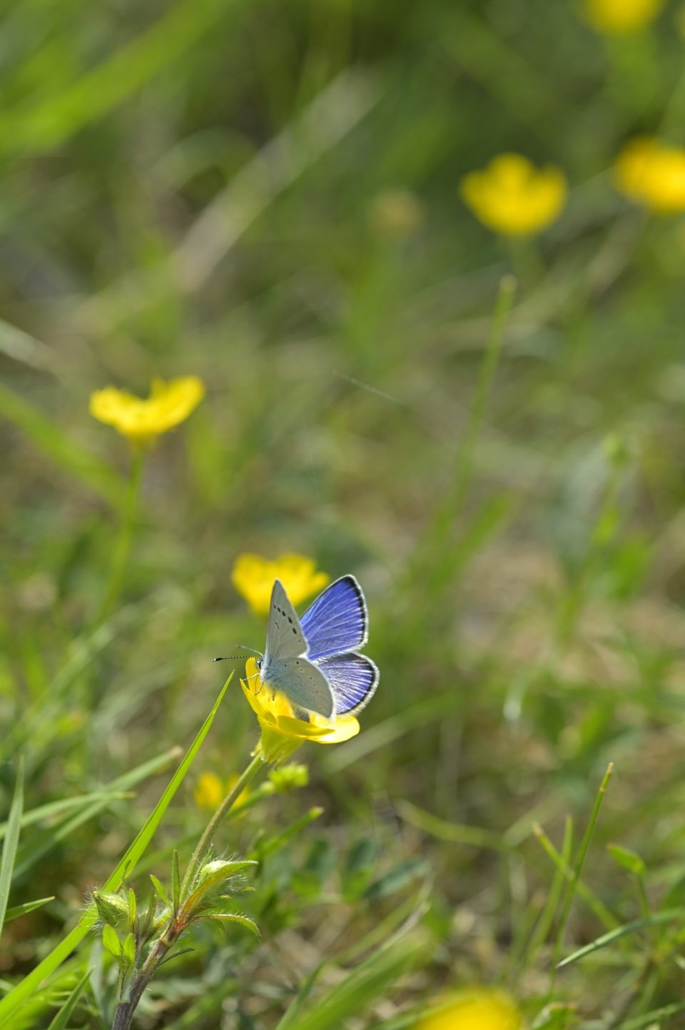nature-enfant-vallee-rhone