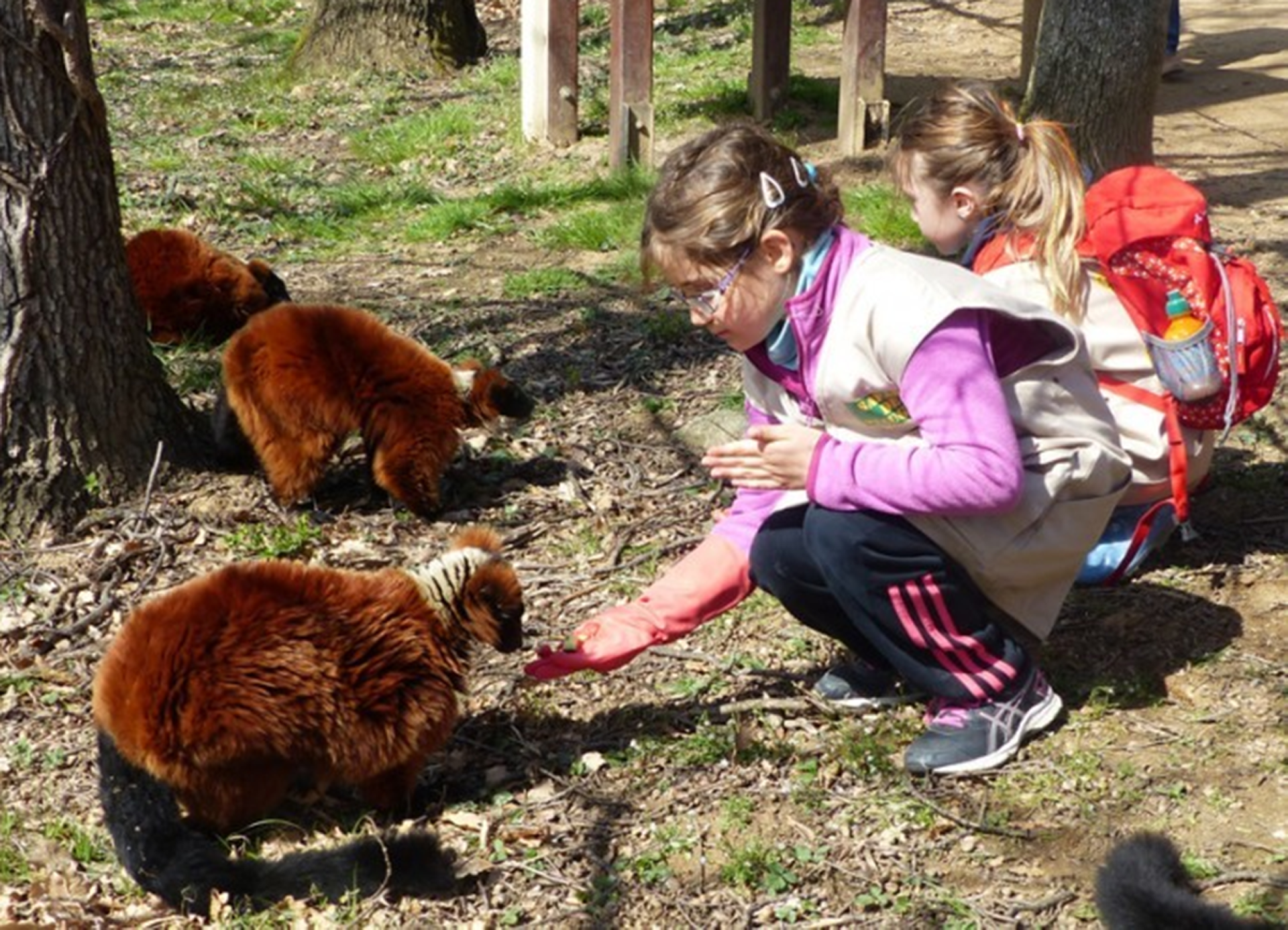Atelier - Soigneur en herbe_Peaugres