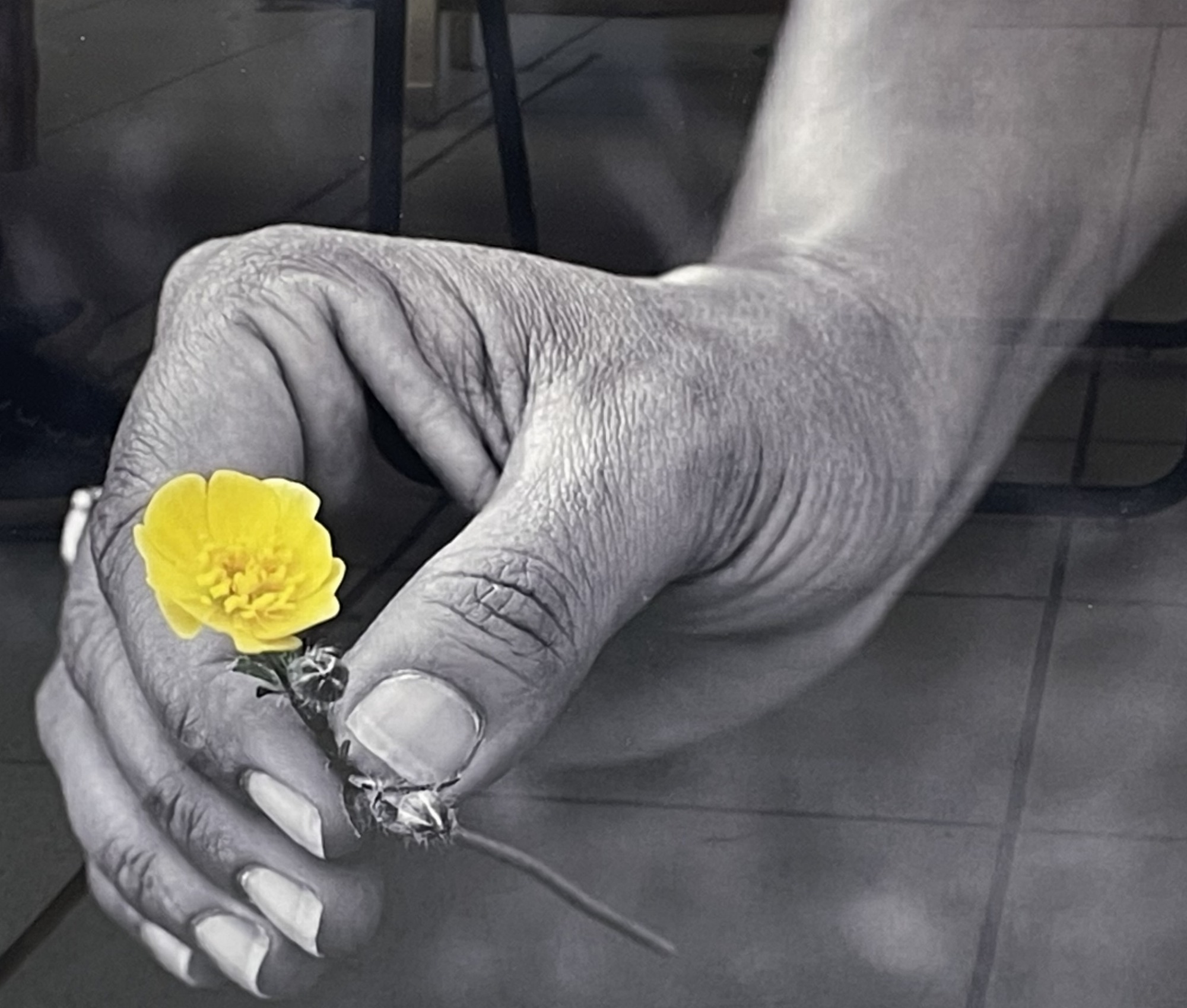 Mains et fleur