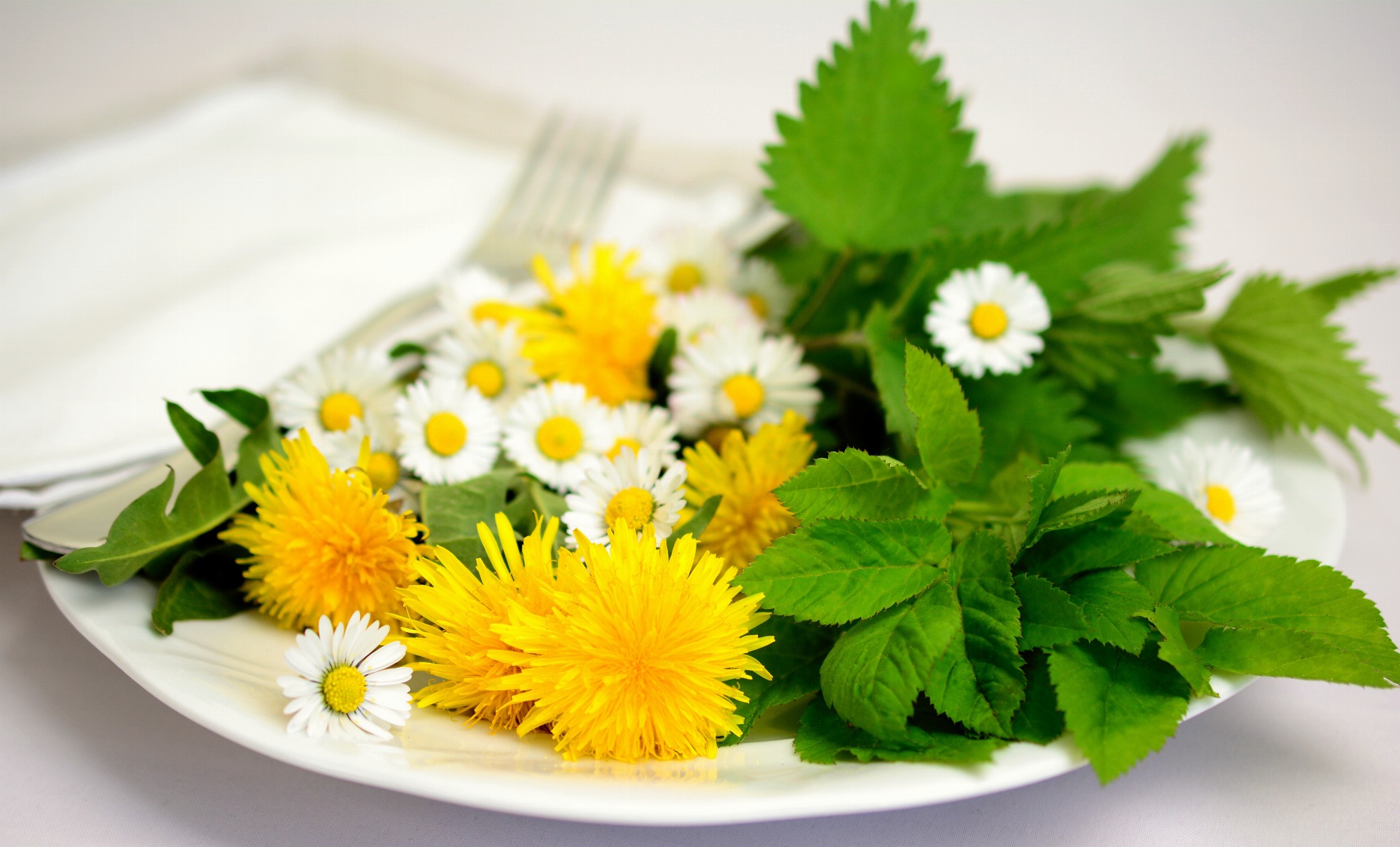 Dîner sur le thème des plantes comestibles_Annonay