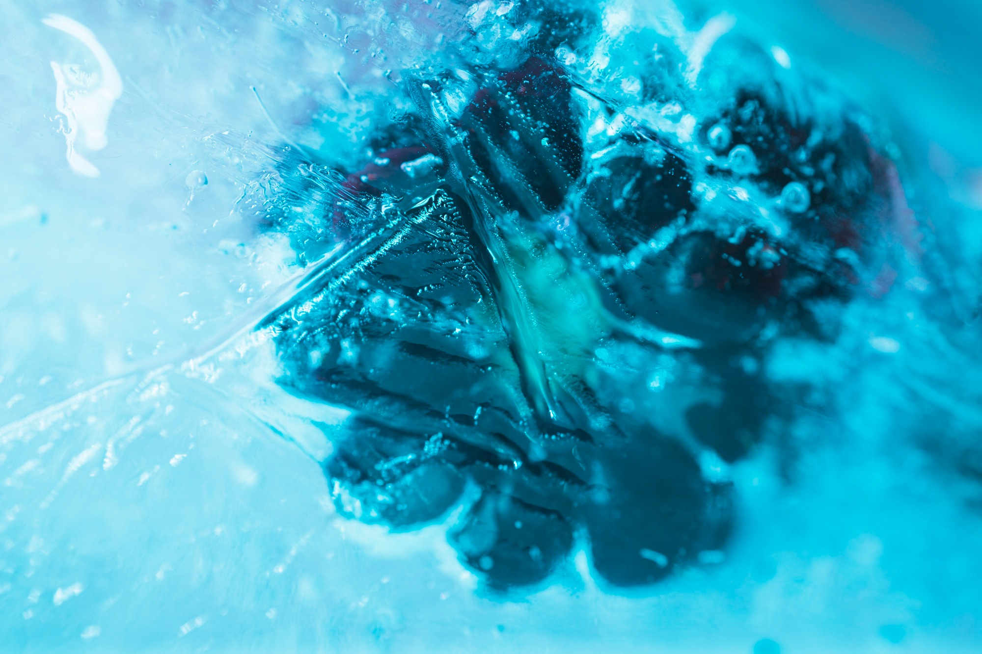 Quand la cryogénie transporte nos aliments_Davézieux