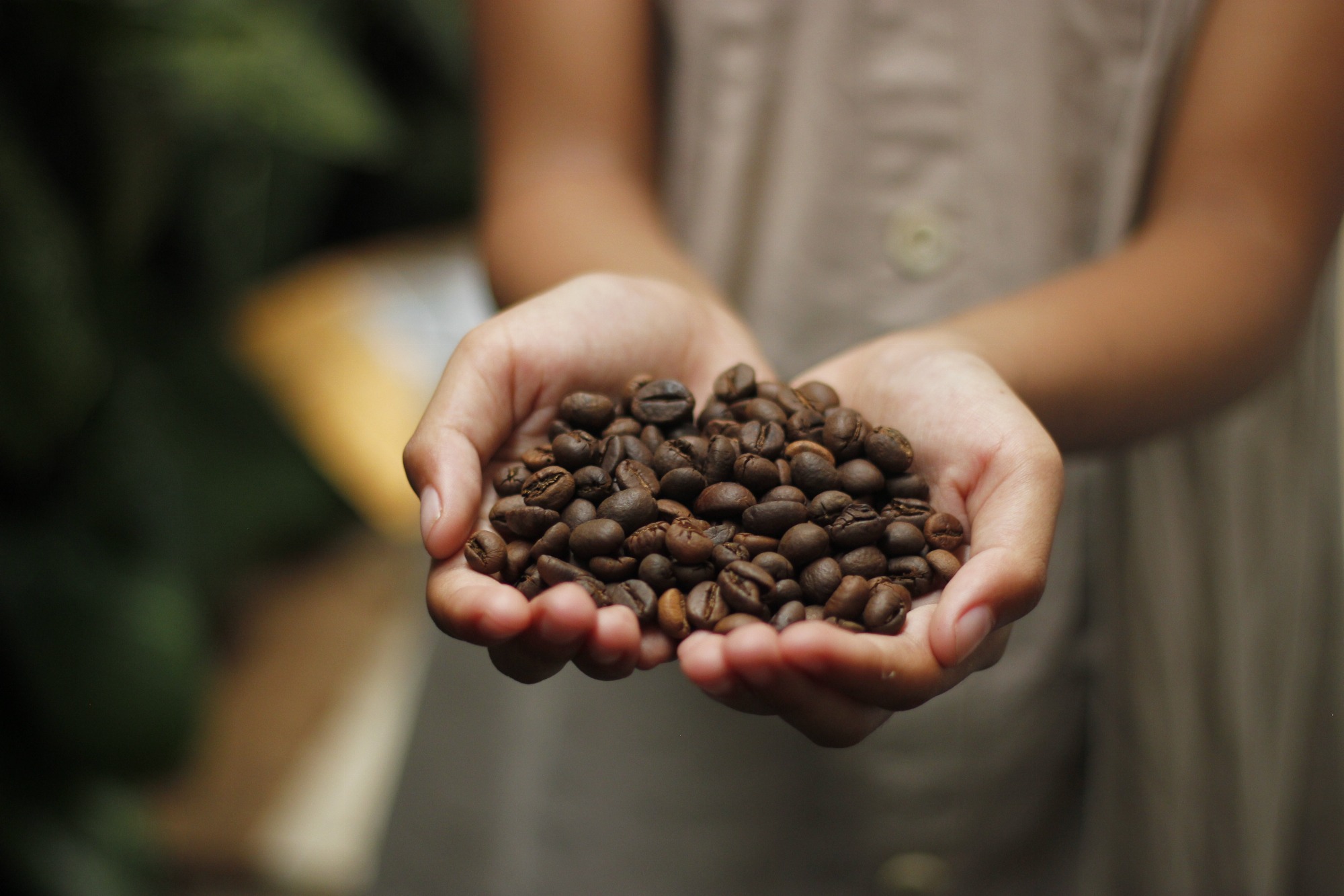 Les mille saveurs du café_Davézieux