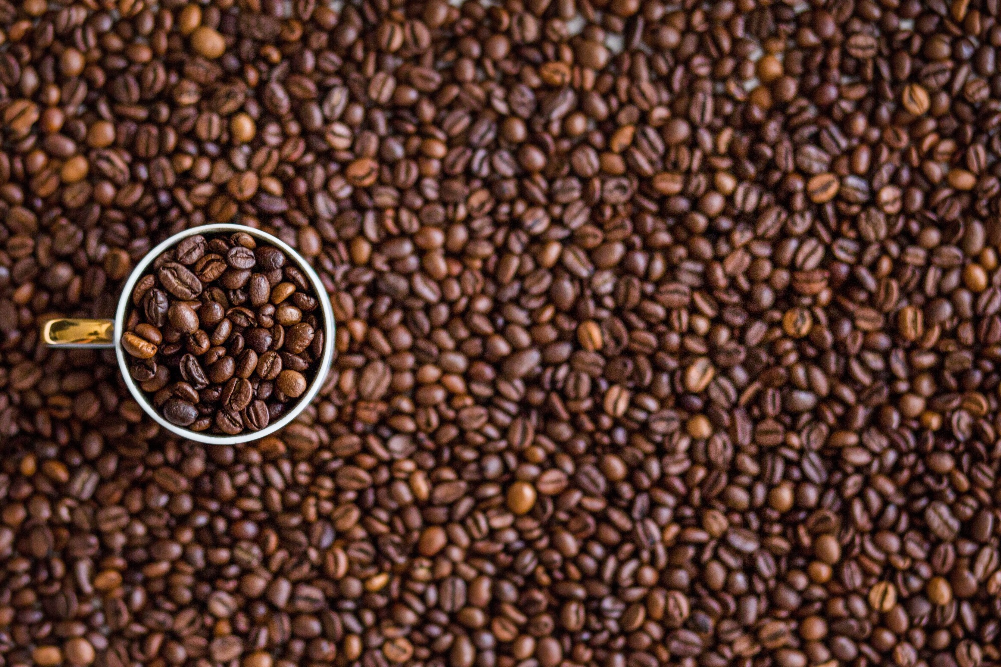Du grain de café à la tasse_Davézieux