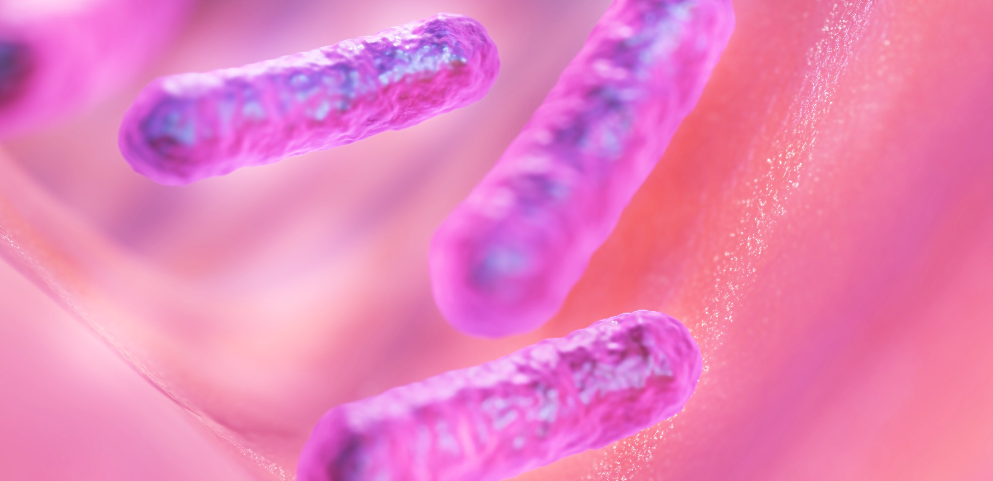 Passons à table avec les microbes !_Davézieux