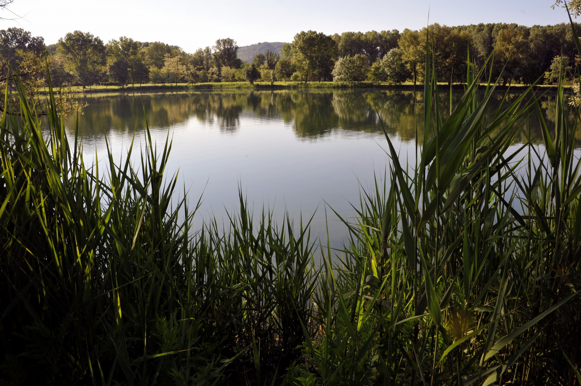 Domaine du Lac de Champos