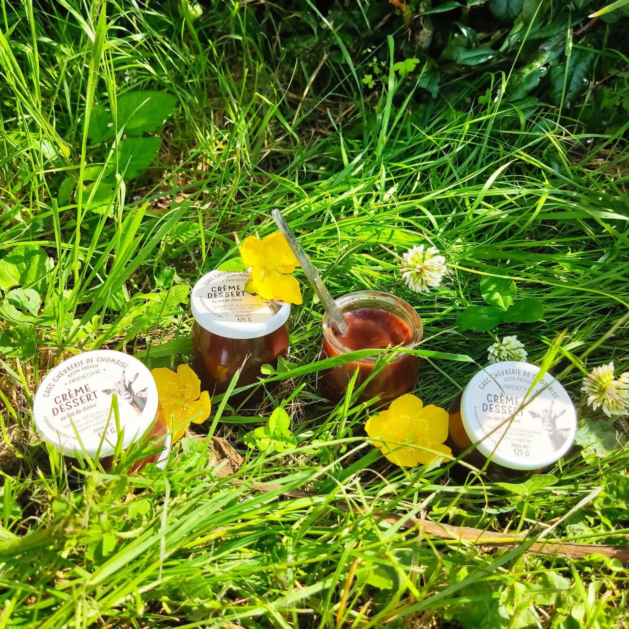 Dessert lacté au Chocolat