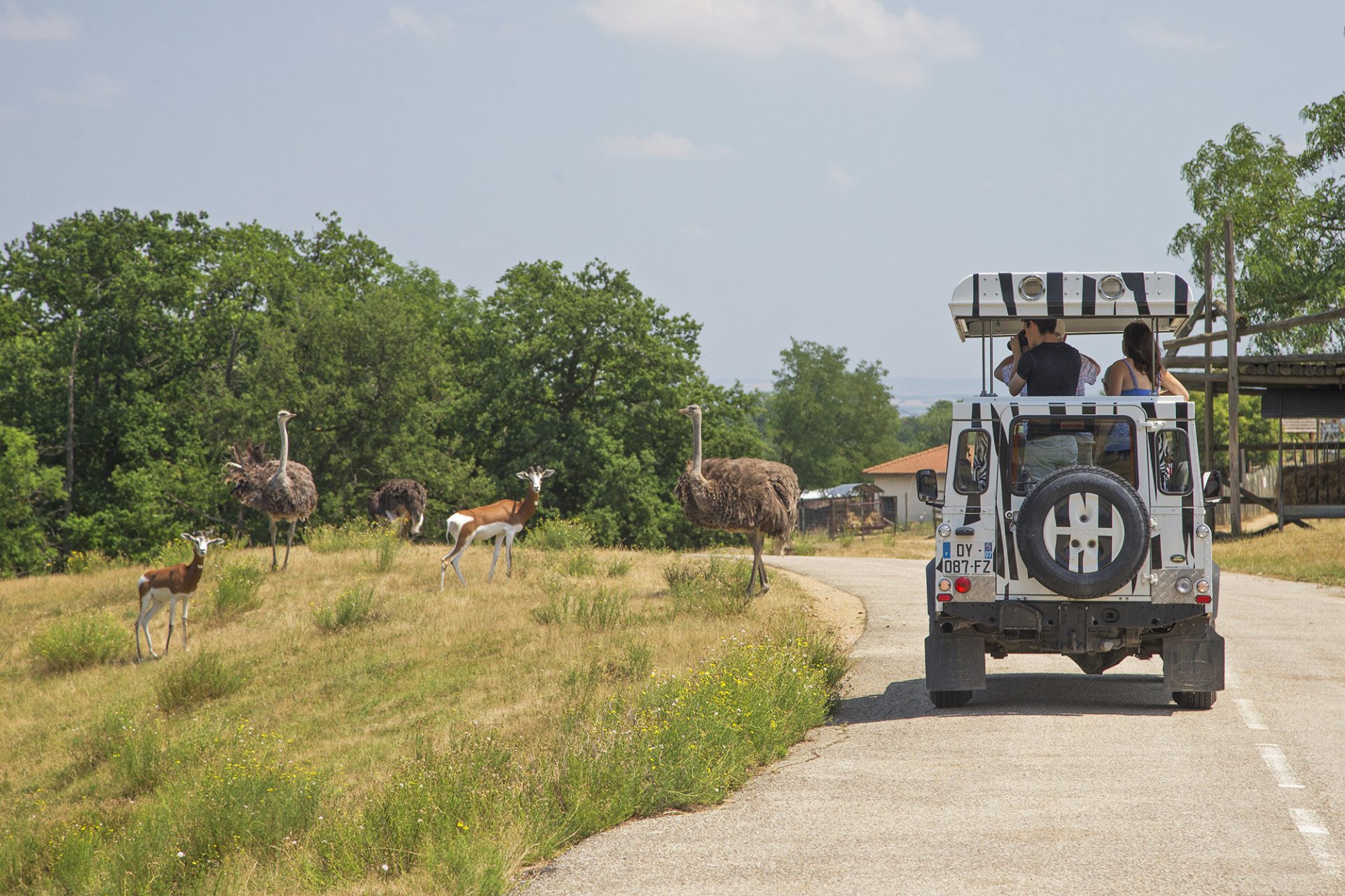 safari in ardèche auvergne rhone alpes annonay zoo