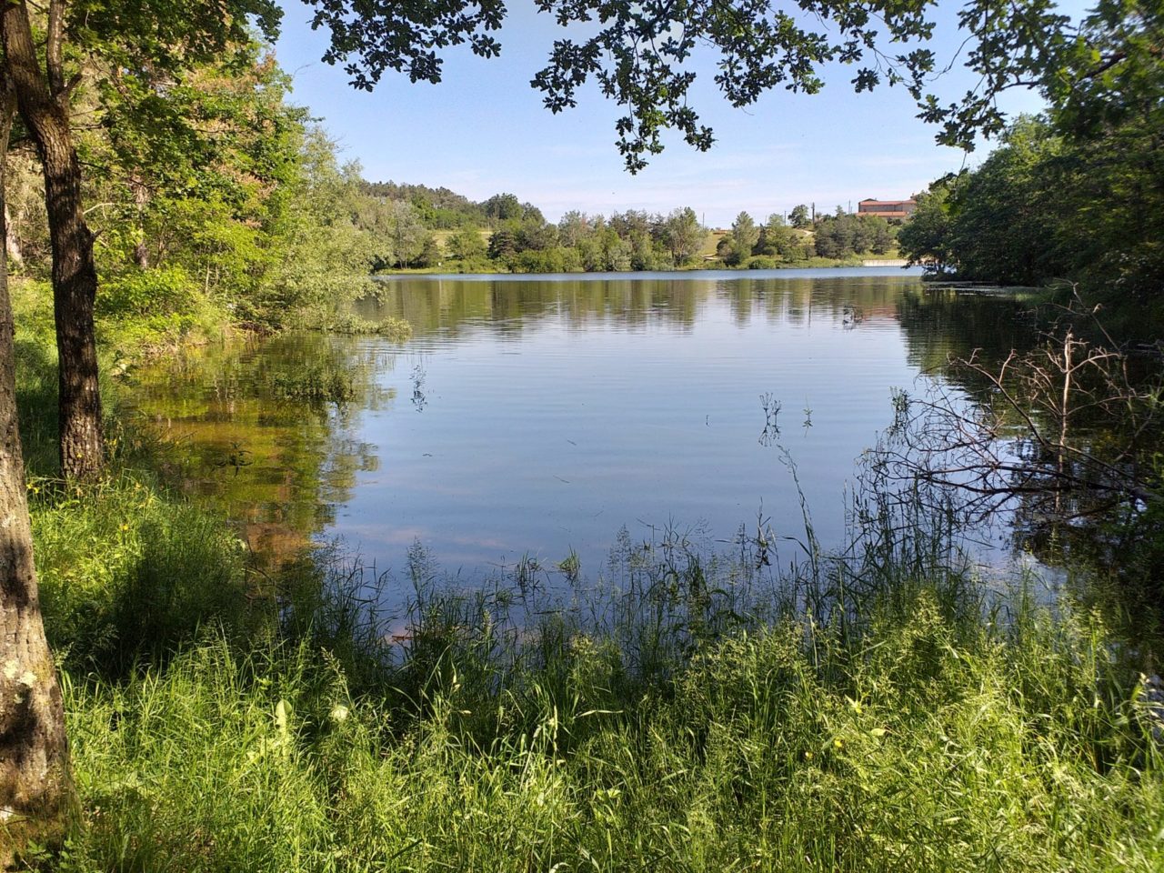 Ardèche du nord pêche lac des meinettes