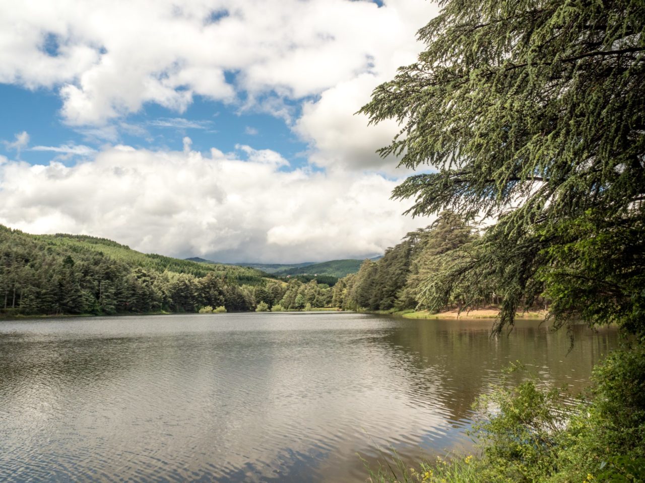 lacs ternay ardèche