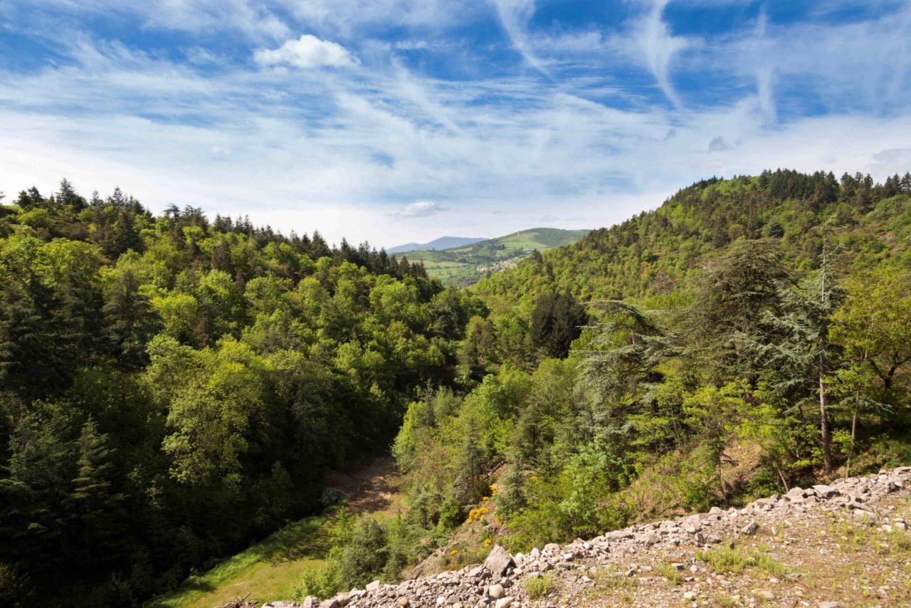 green ardeche