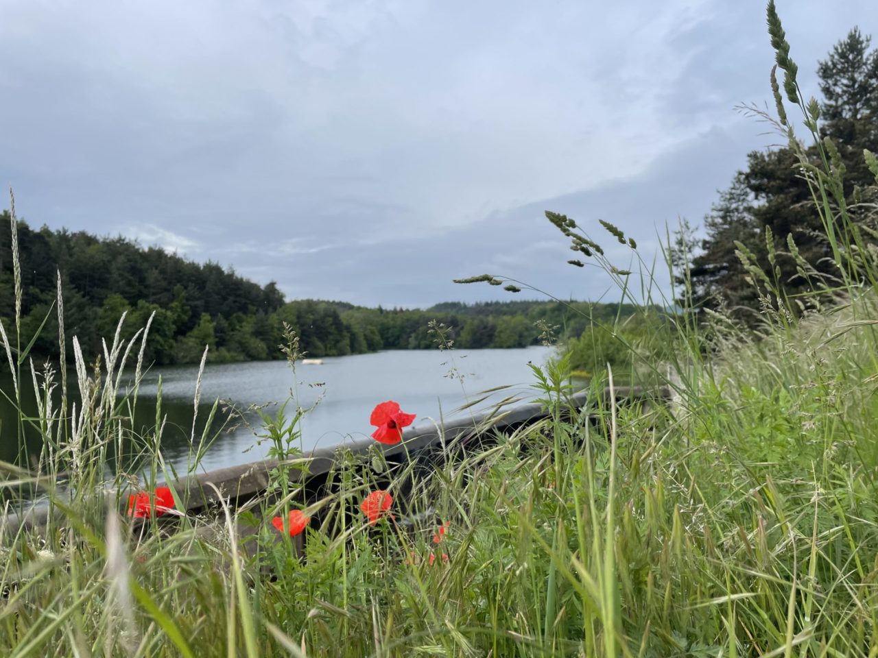 green ardeche