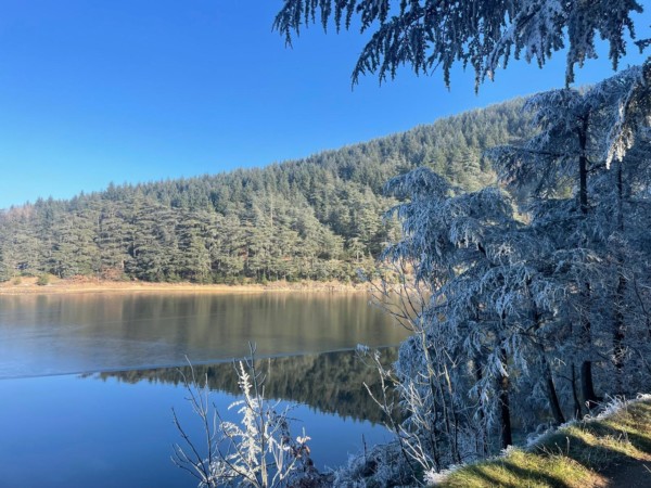 ❄️ 𝗟’𝗵𝗶𝘃𝗲𝗿...