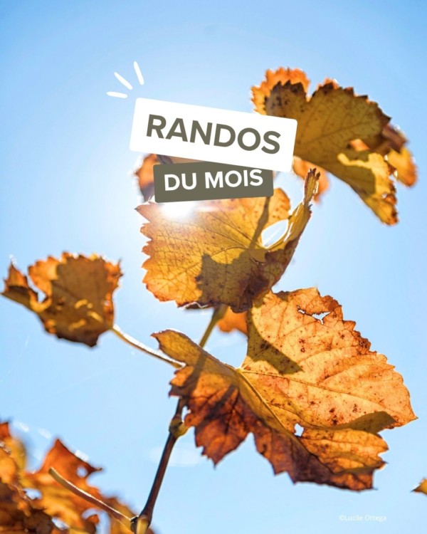Les randos en novembre sont agréables...