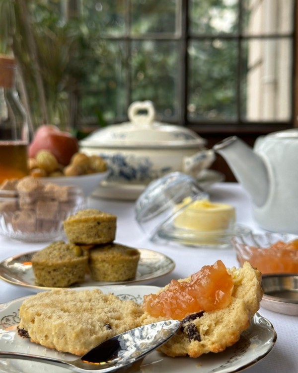 Tu cherches une nouvelle adresse pour...