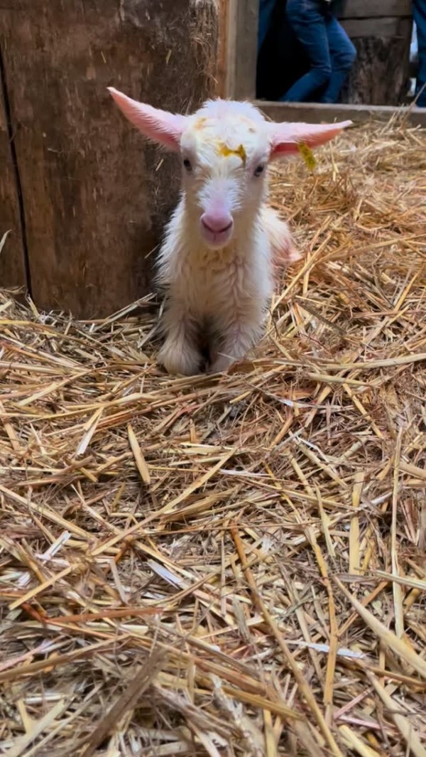 𝐋𝐞 𝐦𝐨𝐦𝐞𝐧𝐭...