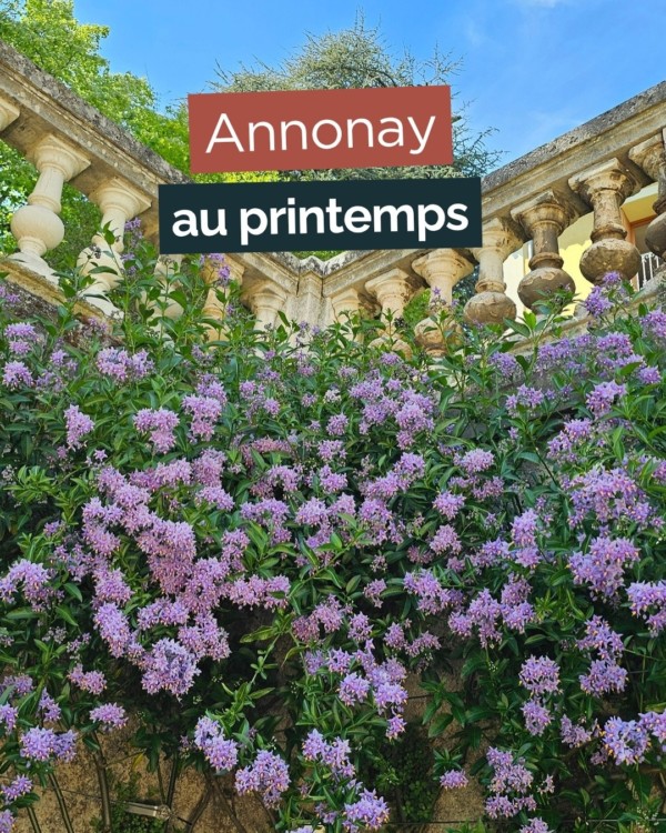 Lune des meilleures saison pour...