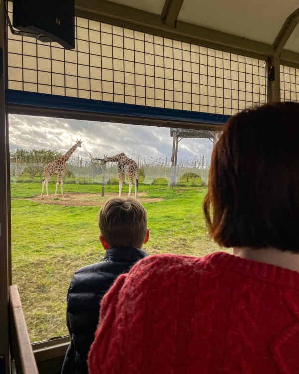 Si tu nas pas eu loccasion de...