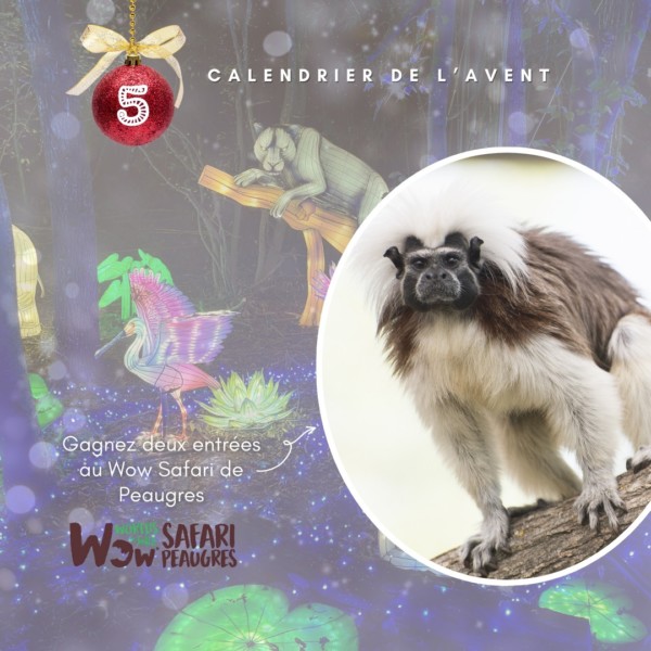 Félicitations à Sylvain laye qui...