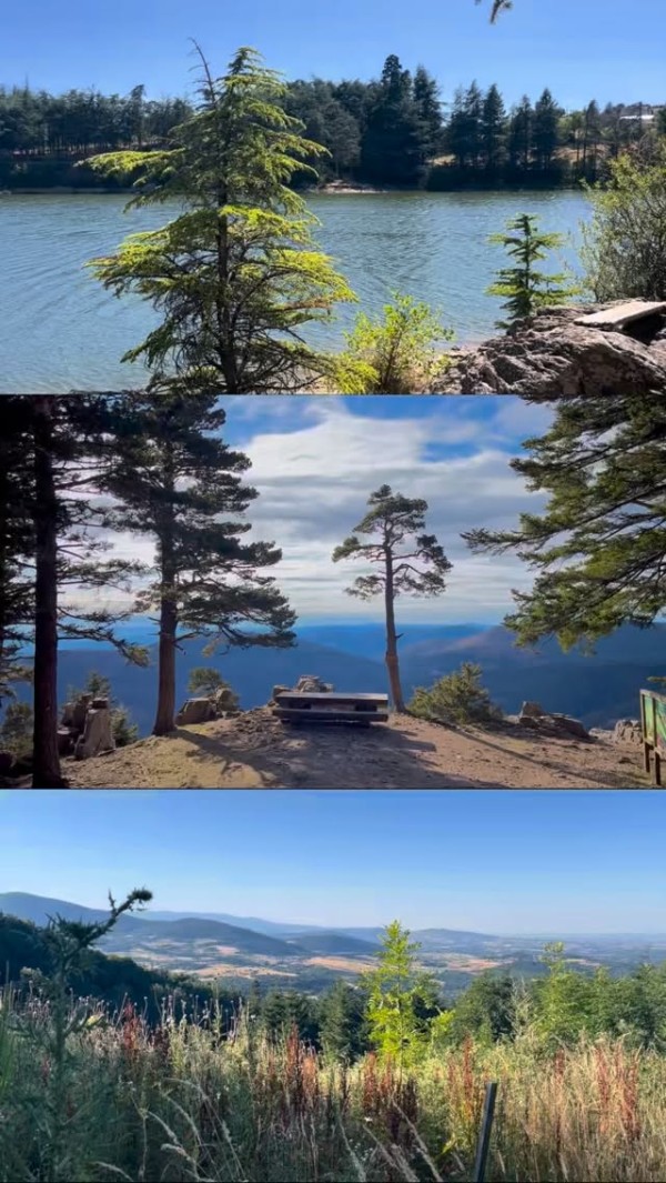 On a hâte. Toi aussi ? 👀☀️