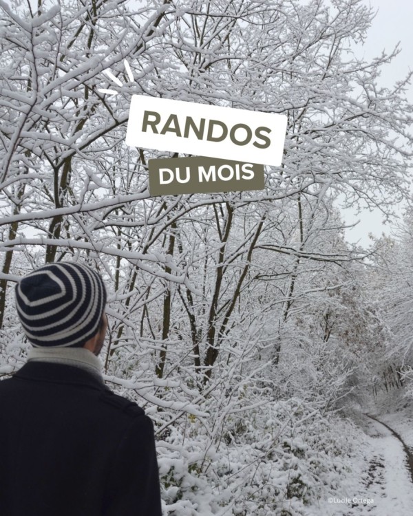 En décembre, il y a ceux qui disent...