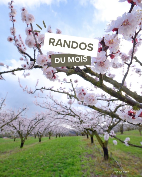 Trop hâte du printemps pour explorer...