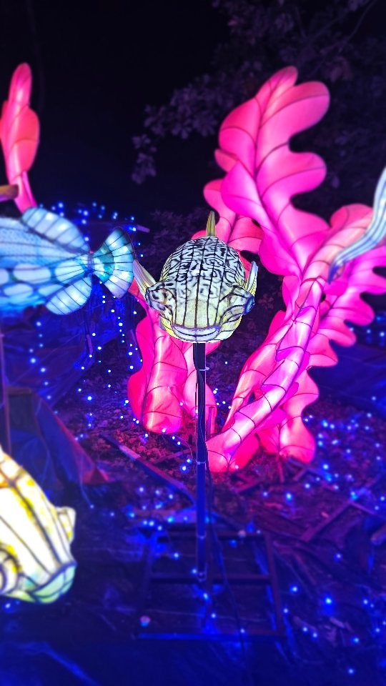 Cest laquelle ta préférée ? Ici...