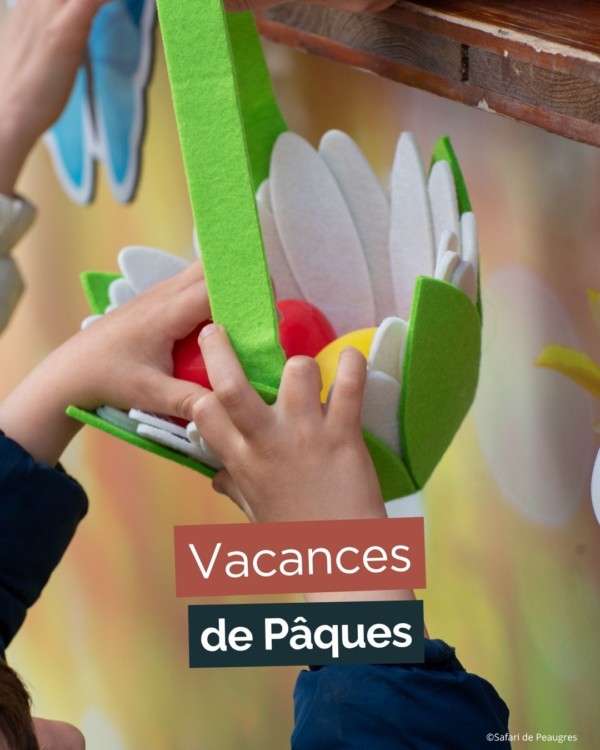 Plus didées pour tes vacances dans la...